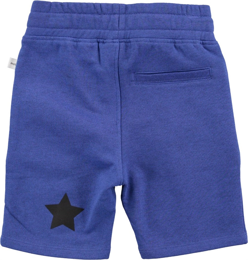 Akon Sweat Shorts Blue Kids Junior - Molo