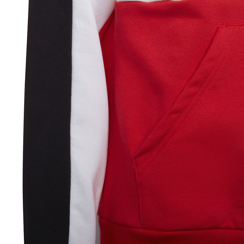 Colorblock Hoodie Junior Vivred Adidas