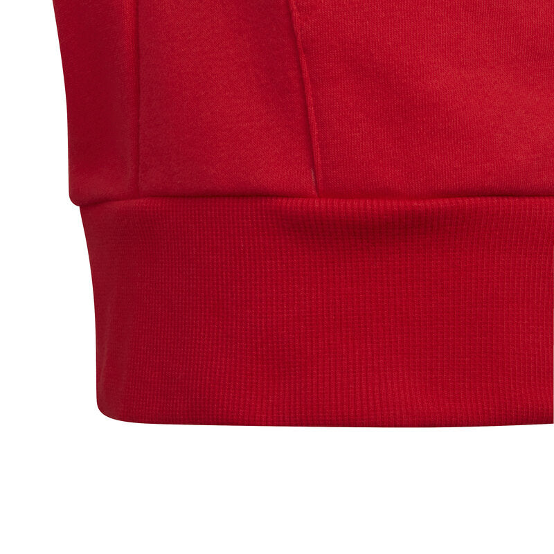Colorblock Hoodie Junior Vivred Adidas