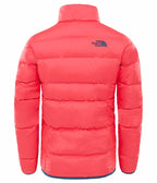 Andes Lättviktsjacka Dun Rosa Barn Junior - The North Face