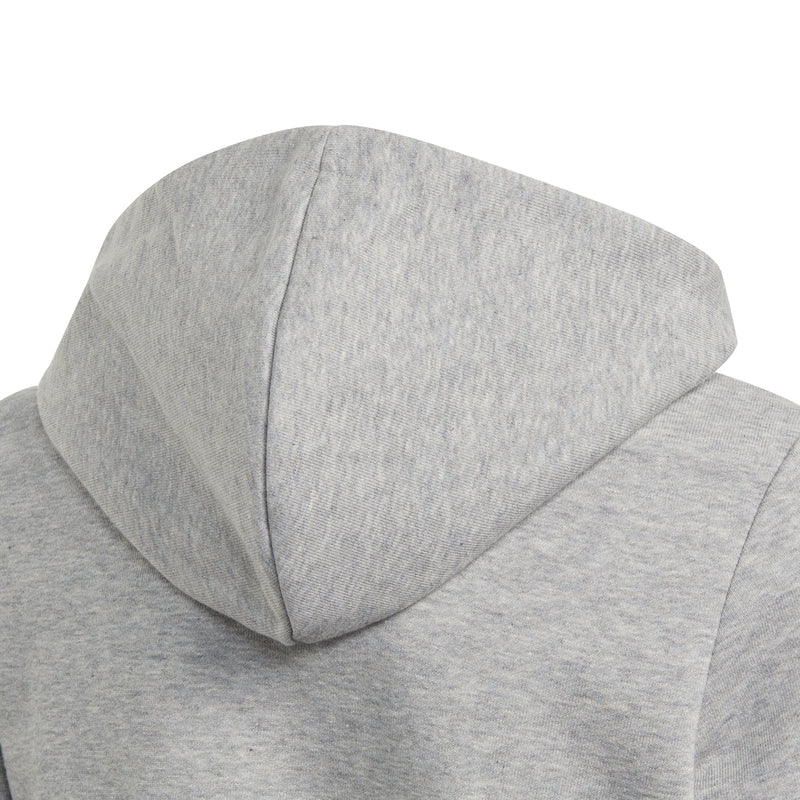 Linear Full-Zip Hoodie Junior Grå Adidas