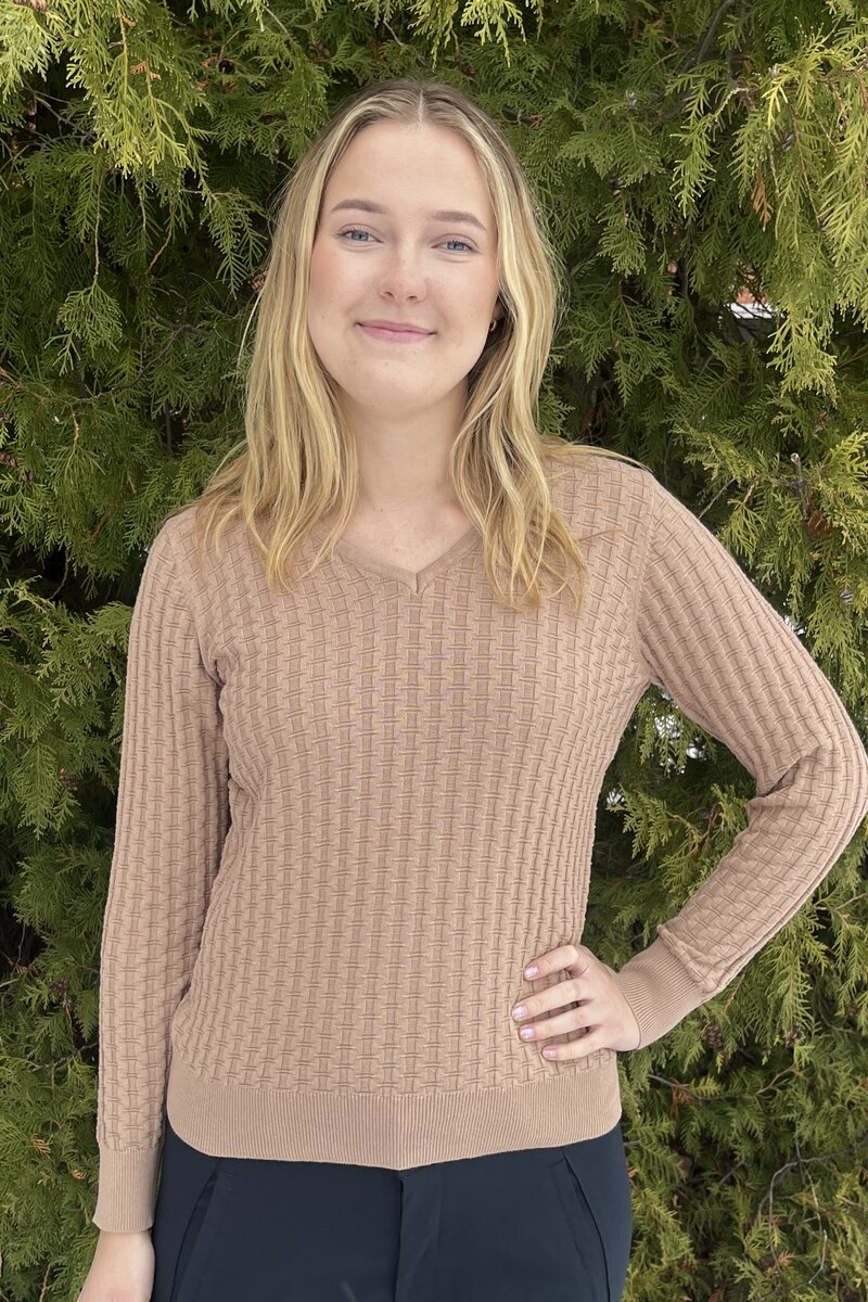 Carol V-ringad Pullover Dam Latte Micha