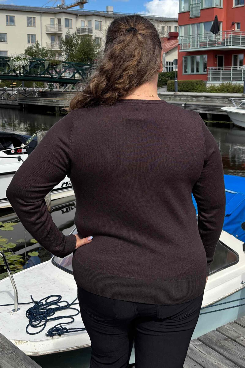 Carrie V-ringad Pullover Dam Brown Micha